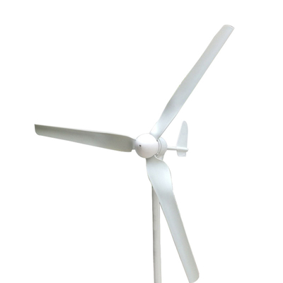 Ev Kullanımı İçin Beyaz Küçük Yatay Rüzgar Türbini 600W 800W 1000W 12V 24V 48V