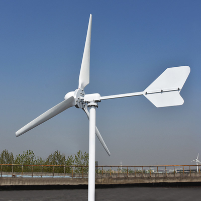 Yatay Düşük Hızlı Rüzgar Jeneratörü 1KW 3KW 24V 48V Ev Kullanımı İçin Alternatif Yel Değirmeni