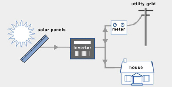 12V 24V 220V Rüzgar Türbini Komple Sistem IP54 Düşük Hızlı Rüzgar Türbini Jeneratörü