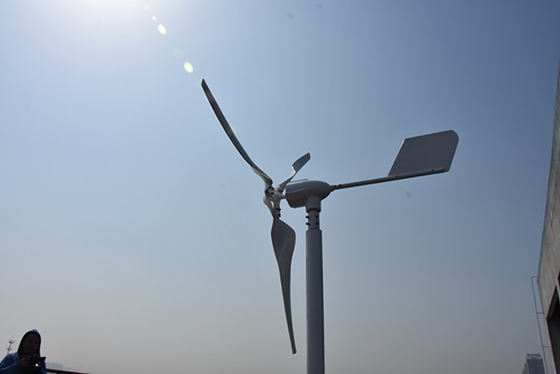 Yenilenebilir Enerji Küçük Yatay Rüzgar Türbini 24Volt 800W 1kW Yatay Eksenli Rüzgar Türbini