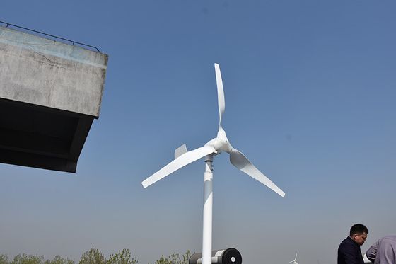 Kapalı Izgara Sistemi için Naylon Bıçak Yatay Bıçak Rüzgar Türbini 24V 48V 800W