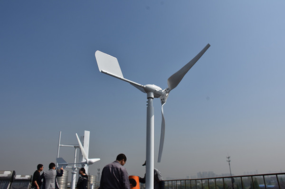 Kapalı Izgara Sistemi için Naylon Bıçak Yatay Bıçak Rüzgar Türbini 24V 48V 800W